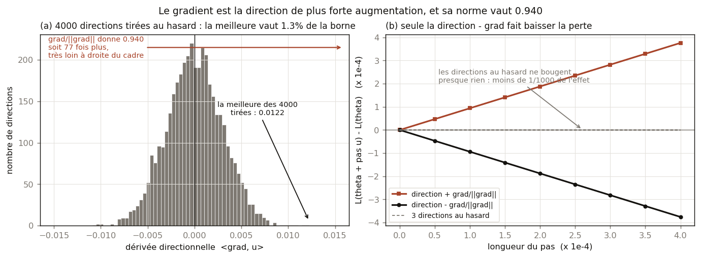 Deux panneaux. À gauche, l'histogramme des produits scalaires de 4000 directions tirées au hasard avec le gradient : toutes tiennent entre moins 0,009 et plus 0,012, et une flèche indique que la direction du gradient, à 0,940, se trouve 77 fois plus loin, hors du cadre. À droite, la variation de la perte en fonction de la longueur du pas dans cinq directions : la droite montante est le gradient, la droite descendante son opposé, et les trois directions tirées au hasard sont plates à cette échelle.